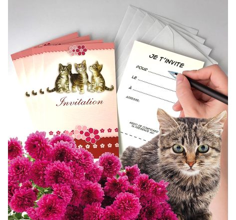Lot 5 cartes "invitation" chat chatons animaux avec 5 enveloppes blanches 9x14cm