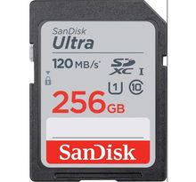 Carte mémoire flash - SANDISK - 256GB