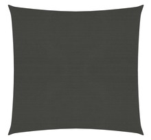 vidaXL Voile d'ombrage 160 g/m² Anthracite 6x6 m PEHD