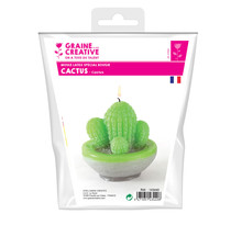 Moule à bougie en latex Cactus