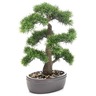 Emerald bonsaï de cèdre artificiel sur plaque marronne 45 cm