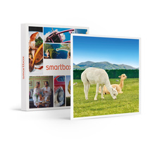 SMARTBOX - Coffret Cadeau Découverte des animaux -  Multi-thèmes