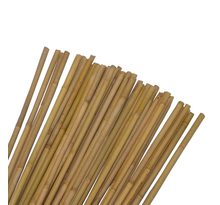 Lot de 10 tuteurs pour plantes et légumes - En bambou - Hauteur : 60 cm