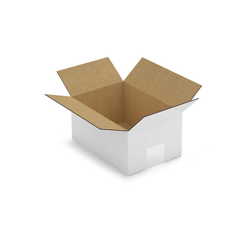 Caisse carton blanche simple cannelure raja 21 5x15x10 5 cm (lot de 25)