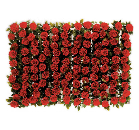 Boite de 12 barrettes roses rouges - l2g - 250