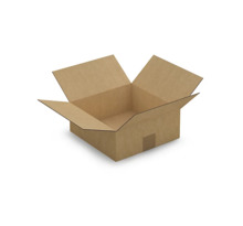 Caisse carton brune simple cannelure RAJA 25x25x10 cm (colis de 25)
