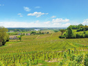 SMARTBOX - Coffret Cadeau Dégustation de grands vins de Bordeaux et visite du Château Belloy -  Gastronomie