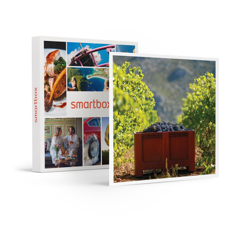SMARTBOX - Coffret Cadeau Atelier Initiation et Dégustation Vin Biologique dans un domaine viticole -  Gastronomie