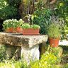 DEROMA Jardiniere Day R cotto - Coloris terre rouge - 50cm