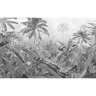 Komar papier peint photo amazonia noir et blanc 400x250 cm