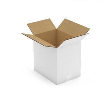 Caisse carton blanche double cannelure RAJA 31x23x30 cm (colis de 10)