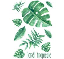Transfert thermocollant A4 - Forêt tropicale