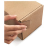 Boîte postale carton brune avec fermeture adhésive 25x20x15 cm (lot de 20)