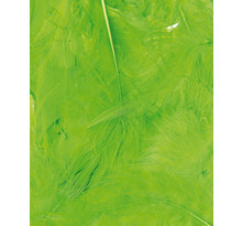 Plumes ébouriffées vert sachet de 3 g lg 8 à 12 cm