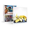 SMARTBOX - Coffret Cadeau Assortiment de 13 fromages du terroir à déguster chez soi -  Gastronomie