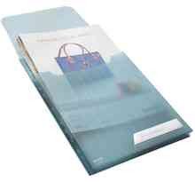 Sachet de 3 pochette Maxi CombiFile soufflet A4 PP grainée Bleu Transparent LEITZ