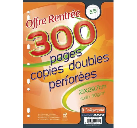 Pqt 75 (300 pages) Copies doubles A4 90g Perforées Quadrillées 5x5 CALLIGRAPHE
