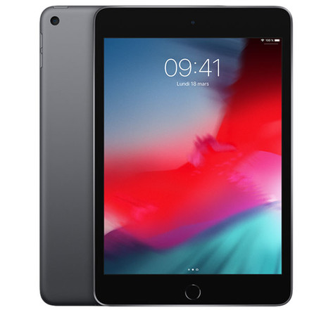 iPad mini 5 (2019) - 64 Go - Gris sidéral - Parfait état