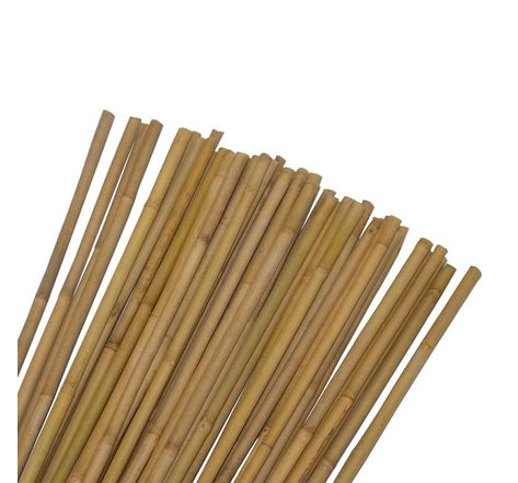 Tuteur pour plantes et légumes - En bambou - Hauteur : 60 cm