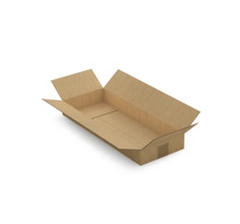 Caisse carton brune simple cannelure raja 50x20x6 cm (lot de 25)