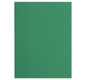 Sous chemise Flash de Exacompta - papier 100% recyclé 80 g - pour format A4  - verte - paquet de 100 pas cher