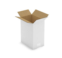 Caisse carton blanche simple cannelure RAJA 23x15,5x30 cm (colis de 25)