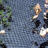 Velda Filet de couverture 4x3 m pour étangs