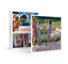 SMARTBOX - Coffret Cadeau Sortie découverte : 1 entrée adulte pour le parc France Miniature -  Multi-thèmes