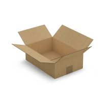 5 cartons d'emballage 31 x 21.5 x 10 cm - Simple cannelure