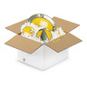 Caisse carton blanche simple cannelure RAJA 40x30x25 cm (colis de 25)