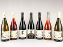 Smartbox - coffret cadeau - dégustation de vins biodynamiques et produits locaux près de montpellier