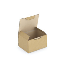 Boîte carton brune d'expédition RAJAPOST 10x8x6 cm (colis de 50)