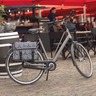 Willex Sacoches de vélo 36 L Arbres fantastiques Noir et marron 13961