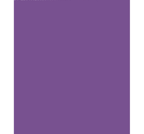 Rouleau papier kraft 3x0.70m violet clairefontaine