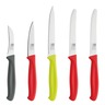 Richardson sheffield ensemble de couteaux de cuisine et tomates 5 pièces