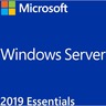 Microsoft windows server essentials 2019 1 licence(s)