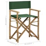 Vidaxl chaises pliables de directeur 2 pcs vert bambou et tissu