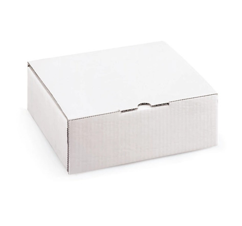 Boîte postale carton blanche avec calage mousse RAJA 12,5x10x5 cm (colis de 50)