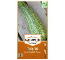 Courgette Greyzini (Grisette de Provence) bio - Graines à semer