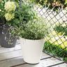 DEROMA Pot de fleurs Save R bianco a réserve d'eau - Coloris blanc - 16cm