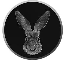 Pièce de monnaie en Argent 200 Francs g 1 Millésime 2023 Lunar Rabbit LUNAR RABBIT V2