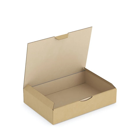 Boîte carton brune d'expédition RAJAPOST 24x17x5 cm (colis de 50)