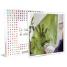 SMARTBOX - Coffret Cadeau - Atelier de teintures végétales à la découverte du pouvoir colorant des plantes -