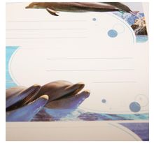 12 étiquettes adhésives scolaires - rectangle - photos de dauphins