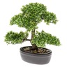 Emerald Mini bonsaï Ficus artificiel Vert 32 cm 420002