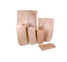 (lot   125 sacs) sac kraft brun renforcé 2 feuilles à encoche 29 x 42 5
