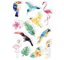 12 stickers 3D - Oiseaux tropicaux 6 cm