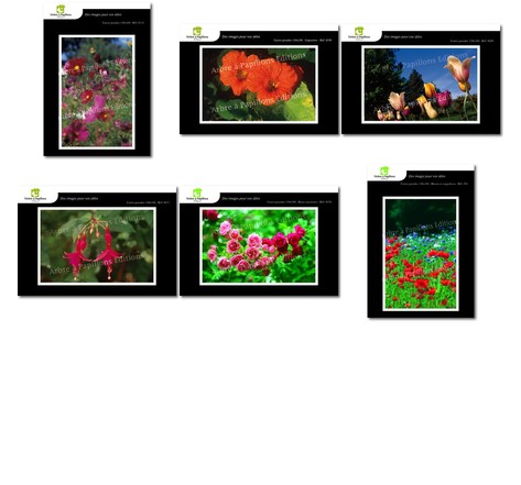 Lot de 6 cartes postales - fleurs 2 - photos frédéric engel