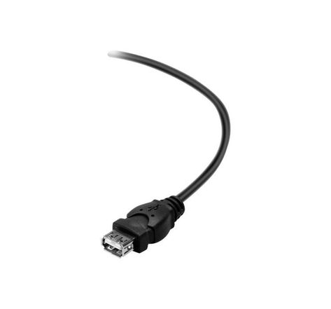 BELKIN Câble USB DSTP USBAM USBAF Extension 1.8M
