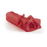 Papier de soie en rame rose 50 x 75 cm